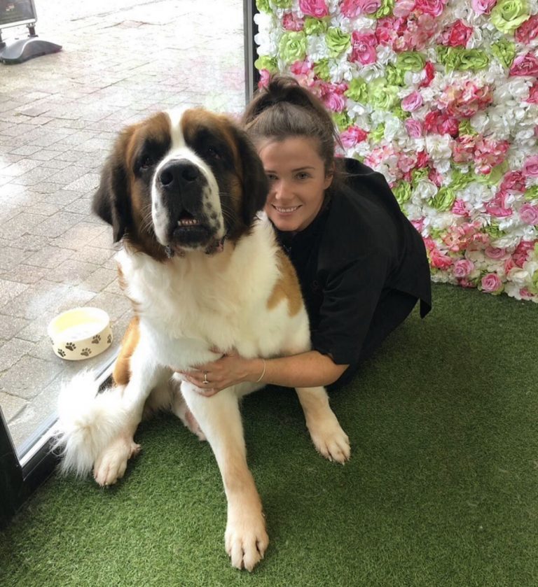 Canine Cutting Club To Open in Knutsford